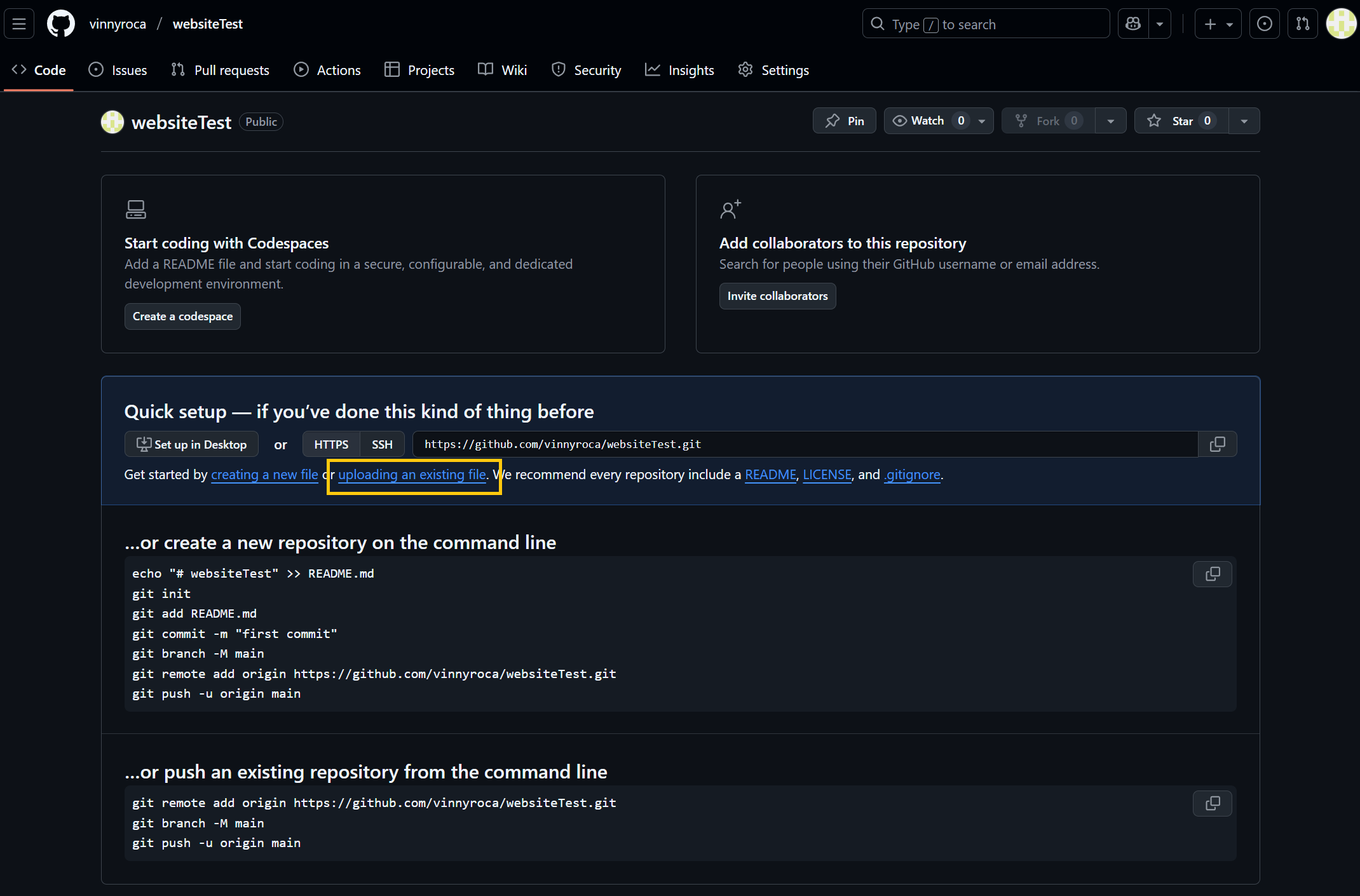 Screen Shot of Repository